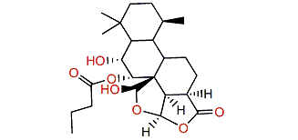 Aplyroseol 3